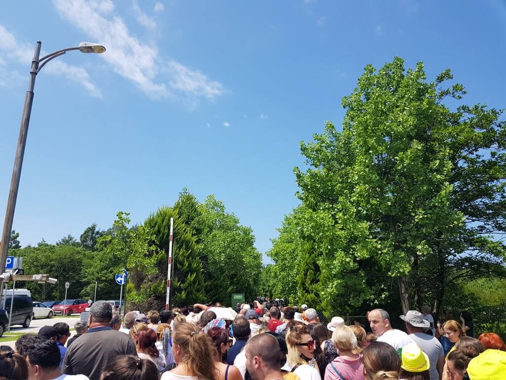 dendro_parki.jpg