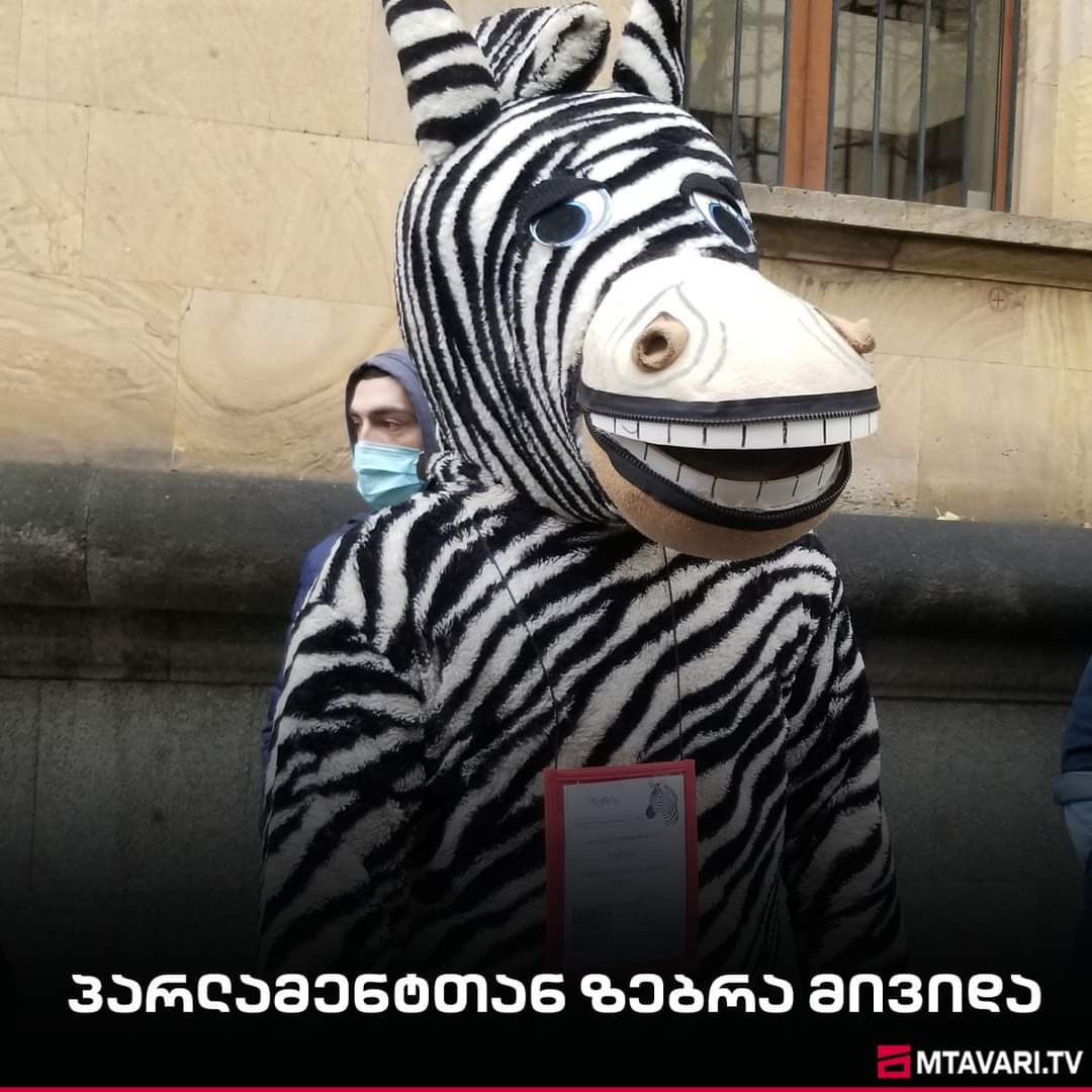 FB_IMG_1607671916740.jpg