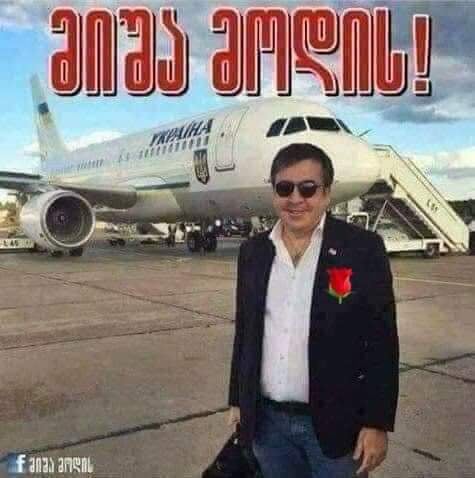 mishamodis.jpg