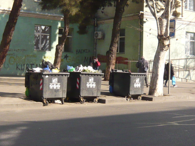P1070783.JPG