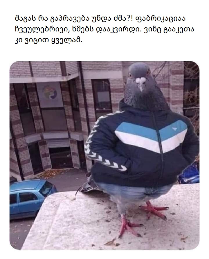 __________________.jpg