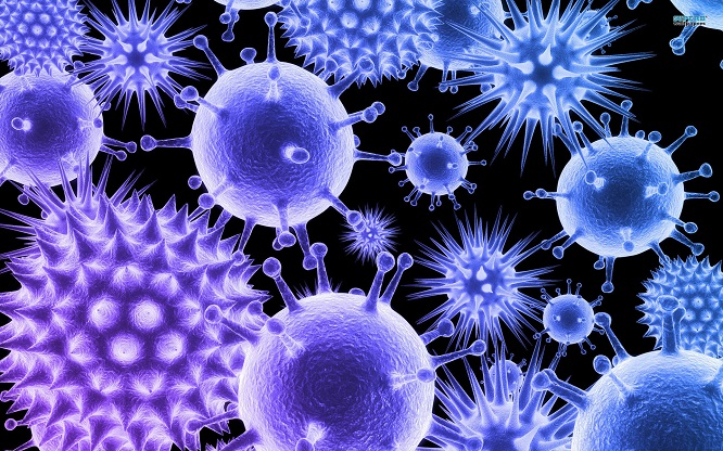 virus.jpg