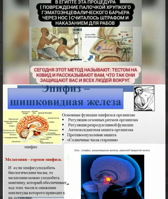 pcrtest.jpg
