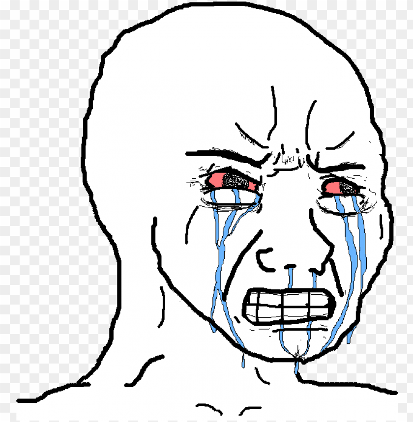 view_samegoogleiqdbsaucenao_1449081047980_tears_of_rage_meme_11563145456gfipec8pez.png