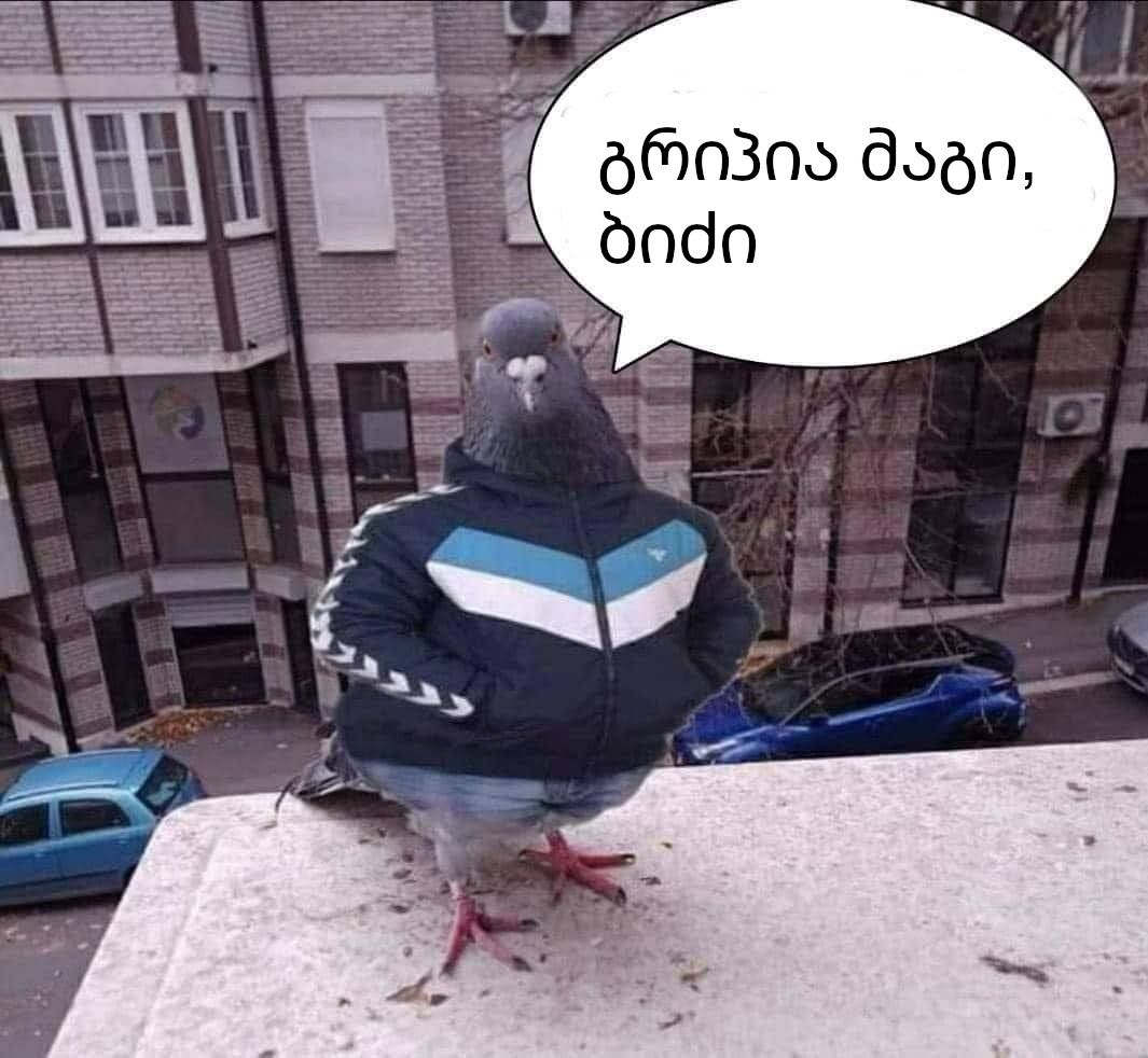 mtr.jpg
