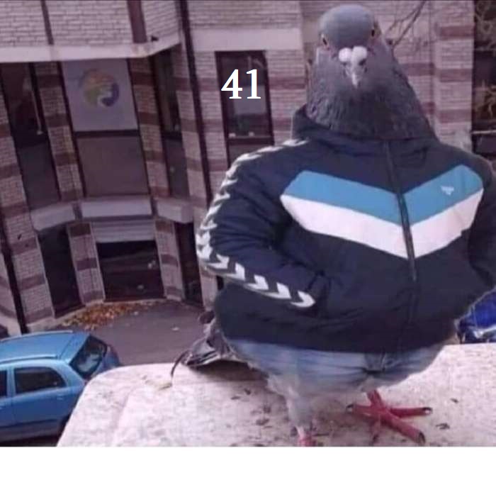 mtredi_9.jpg