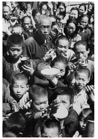 mao_mao.png