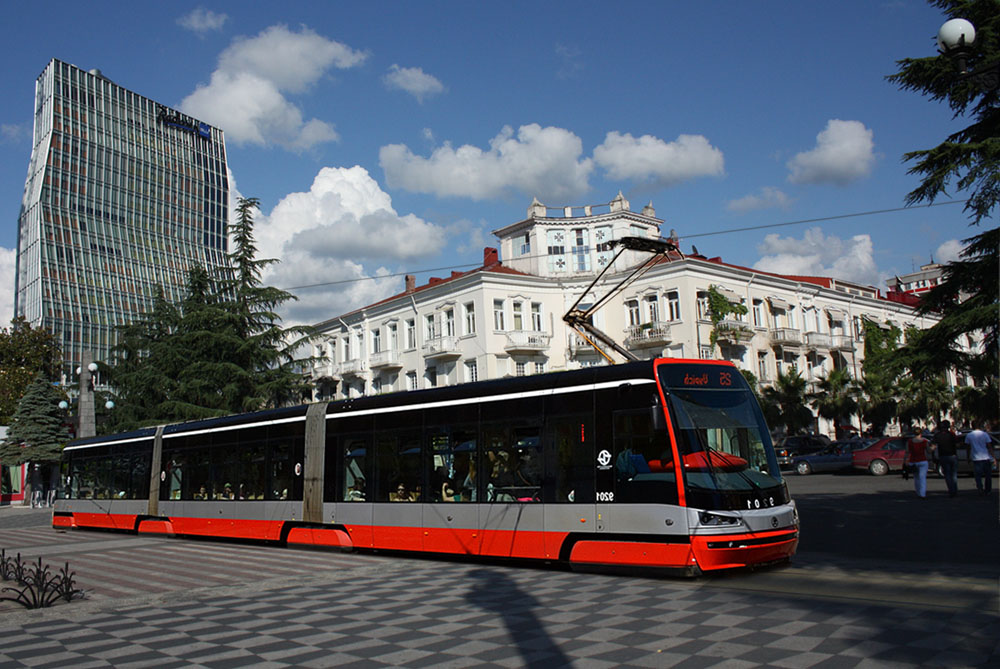 IMG_5572.jpg