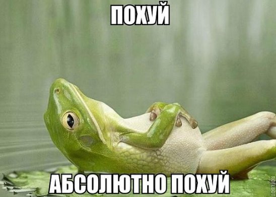 16497420.jpg