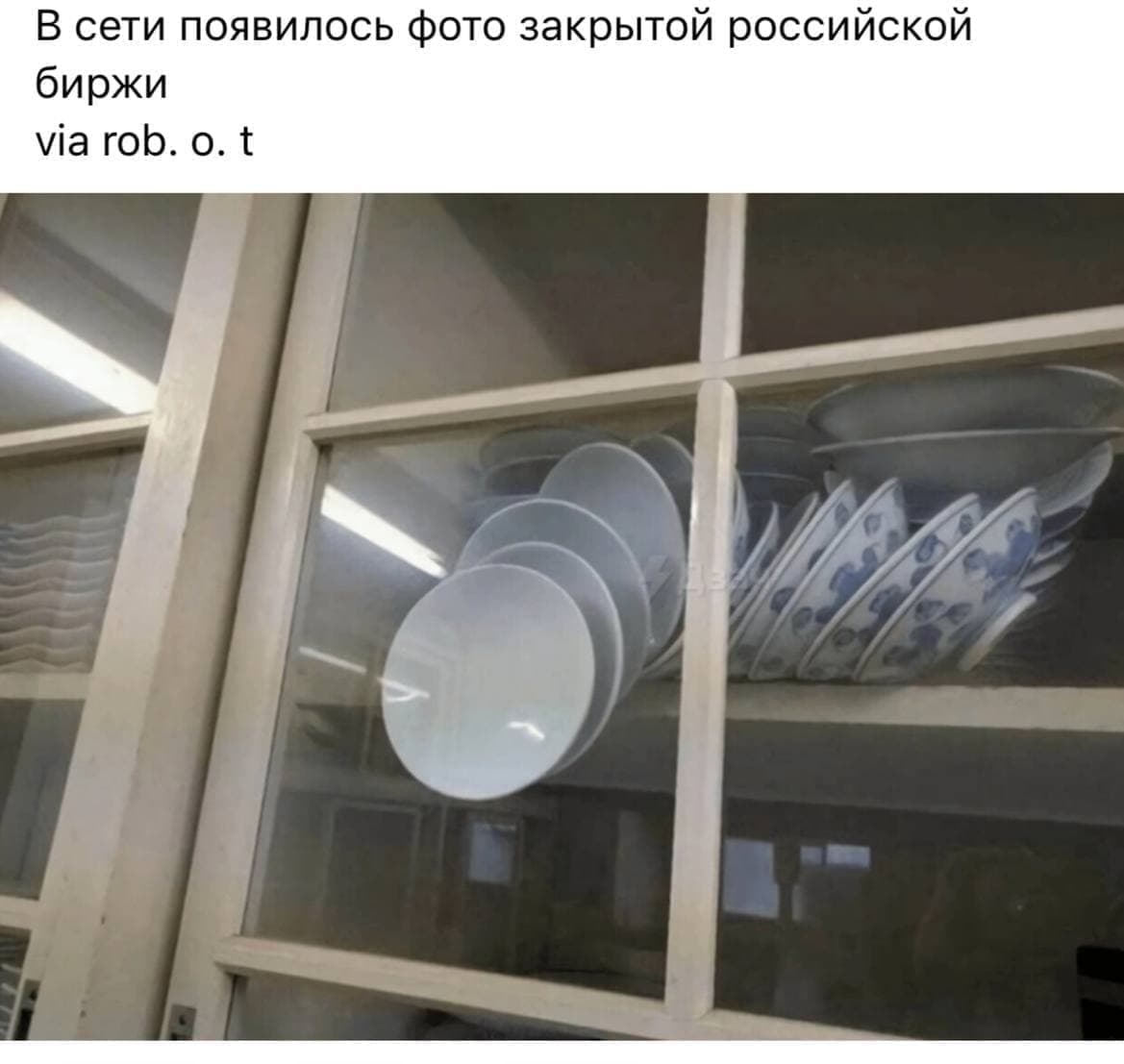 1FE8A199_58D8_4004_BB00_03F4B7A2AAC8.jpeg