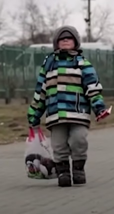 bavsvhi.jpg
