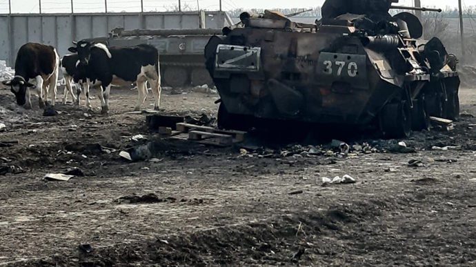 e2cbe53_gusarivka690.jpg
