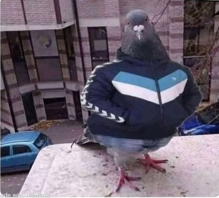 aLvBrVg_460s_2.jpg