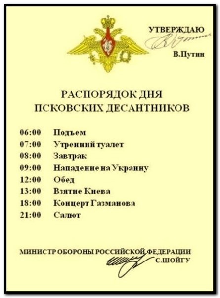 kojugedovich.jpg