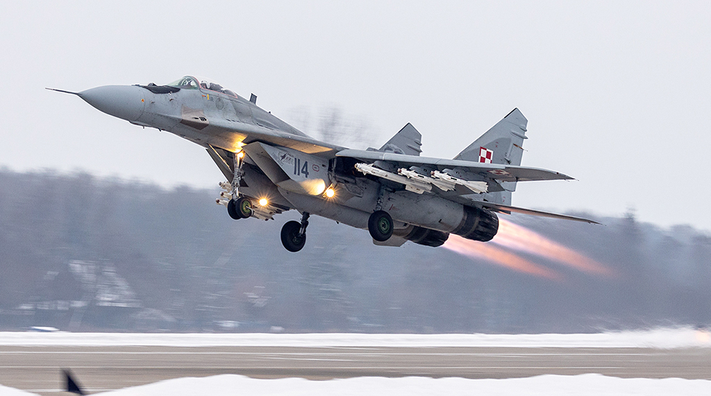Polish_MiG_29_Malbork.jpg