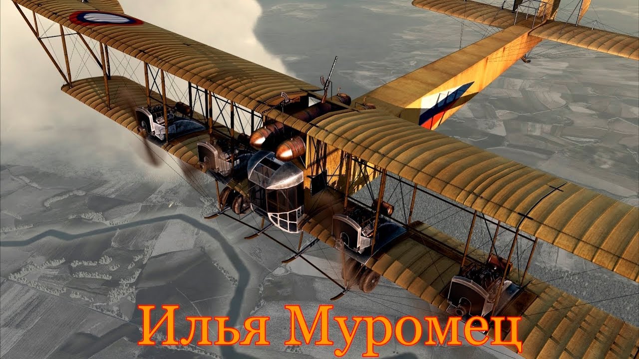 myromaca.jpg