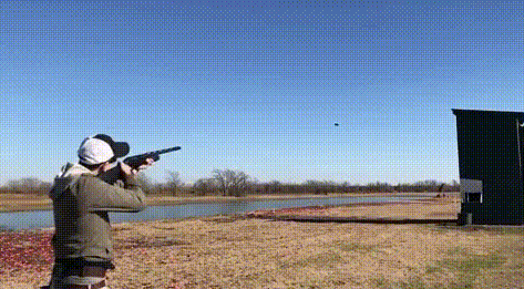 a1.gif