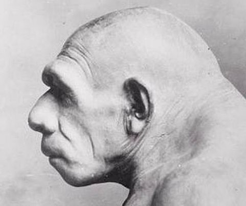 neanderthal1.jpg