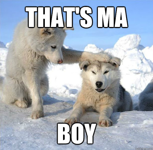 dogsdogs.jpg