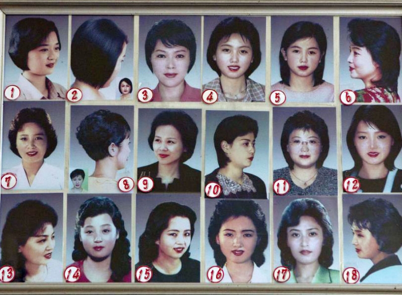 chrdiloet_koreashi_tmis_varcxniloba.jpg