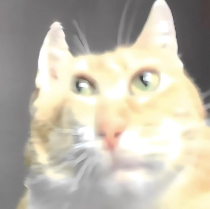 434730271_7886436218056118_7265077166808603533_n.jpg
