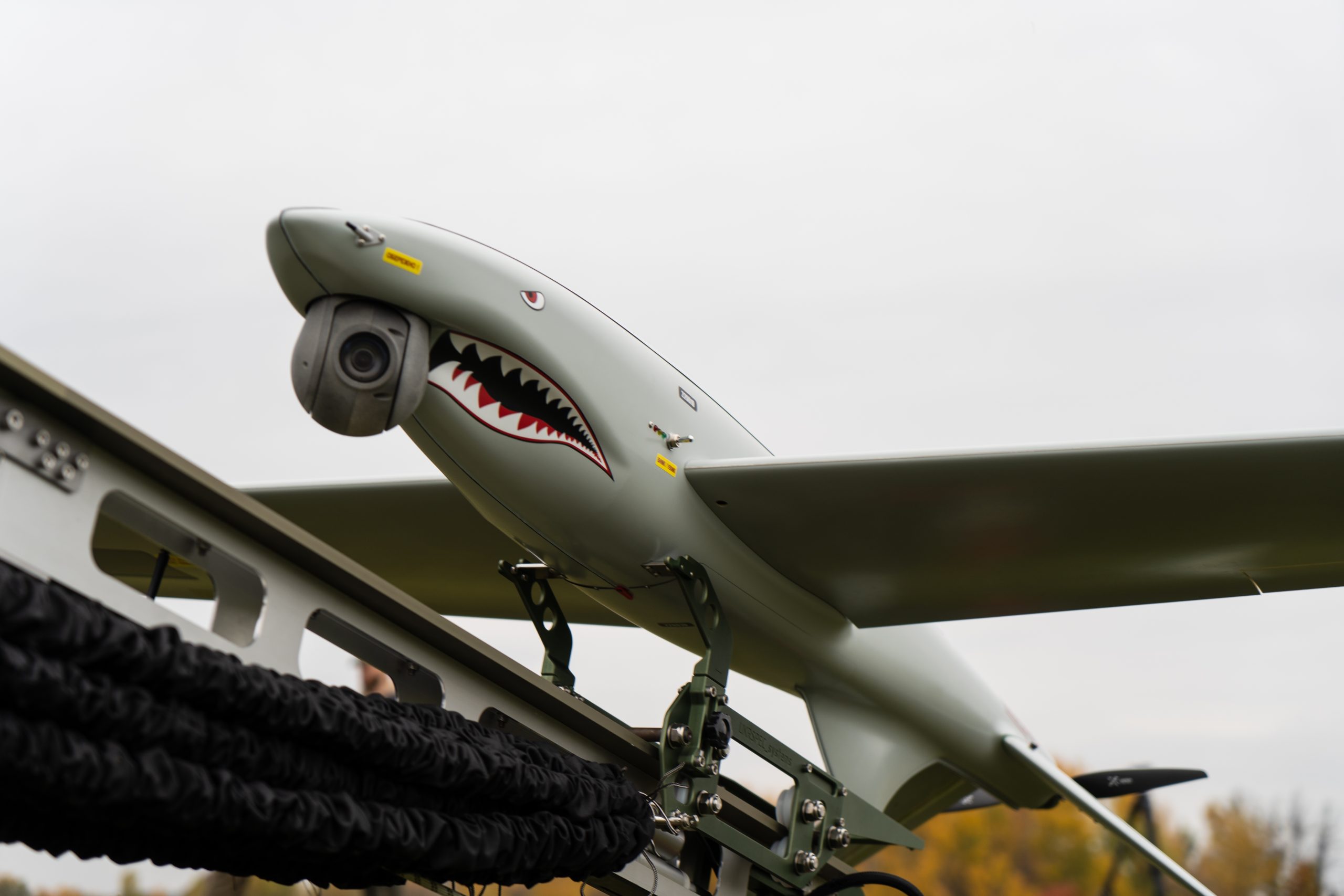 SHARK_USS_03_scaled_1.jpg
