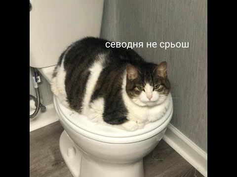 17356494534000.jpg