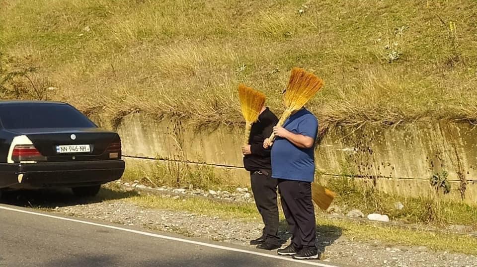 cocxosnebi_2.jpg