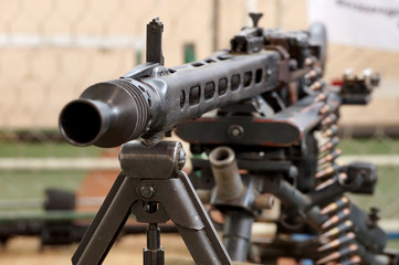mg43.jpg