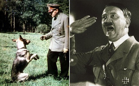 hitler_dog_620_1903562c.jpg