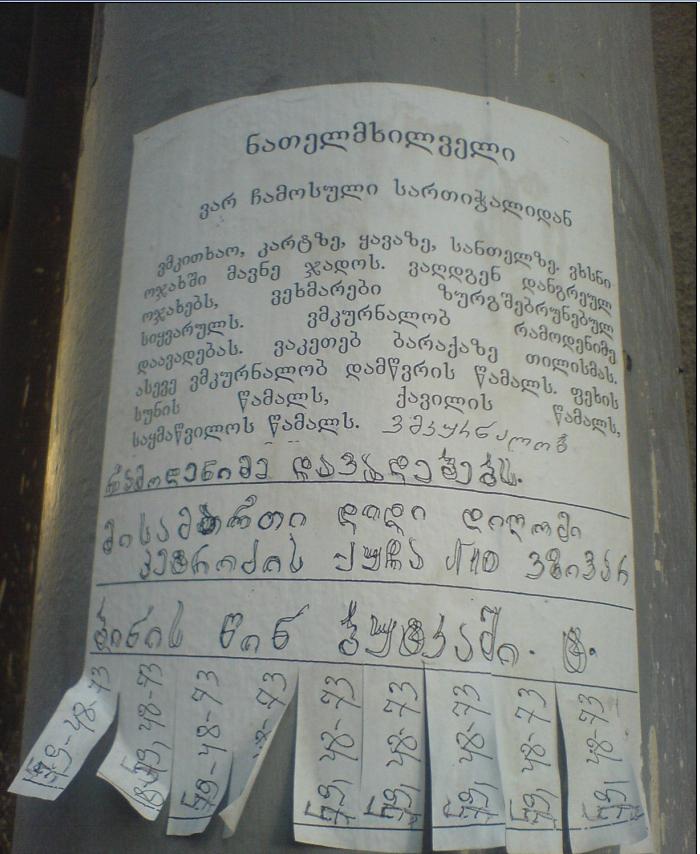 natelmxilveli.jpg