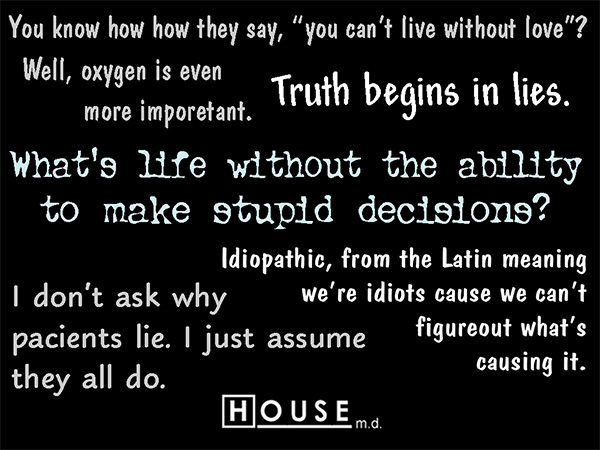 house.back.alt.jpg