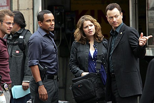 csi_ny_sinise33.jpg