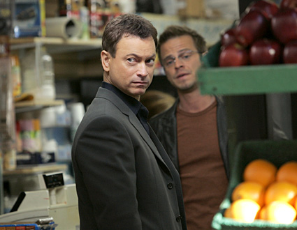 csi_ny_sinise117.jpg