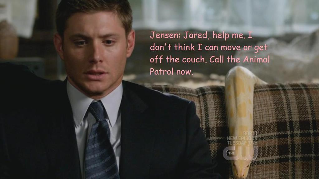 spn406_328.jpg