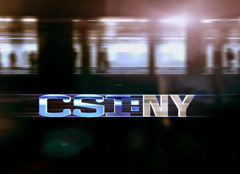 csi_ny_logo.jpg