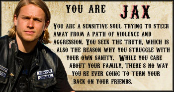 soa_jax.jpg