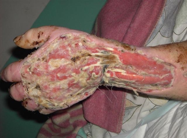 krokodil_14.jpg