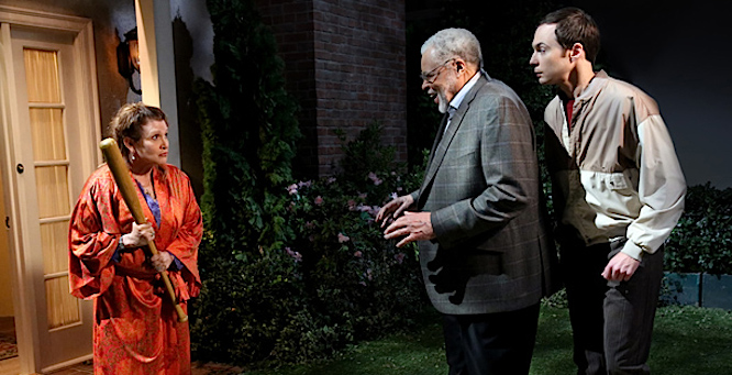 BIG_BANG_THEORY_612x4451.jpg