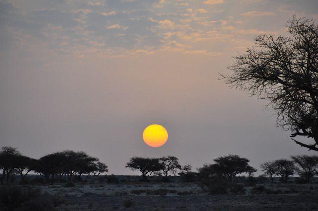 fb_beautiful_saudia_arabia_darb_zubaidah.jpg
