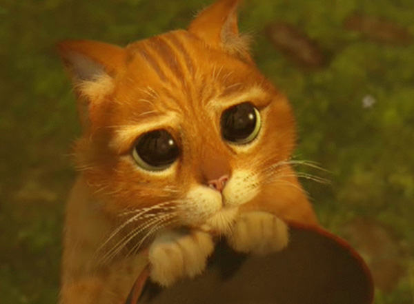 Shreck_2_Cat.jpg
