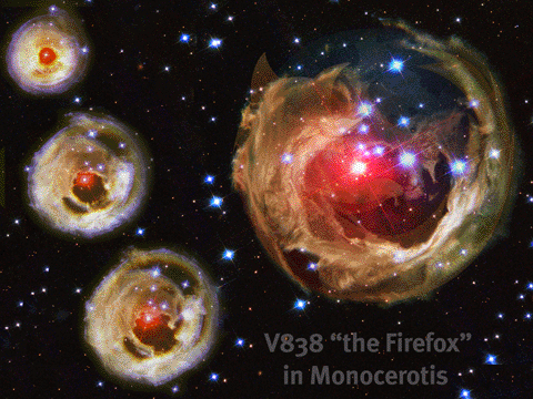 firefox_monocerotis_copy.gif