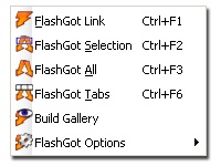 flashgot_7.jpg