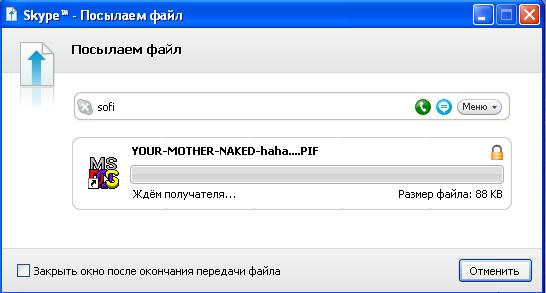 ra_chemi_fexebia2.JPG