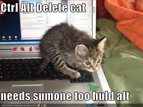 funny_pictures_ctrl_alt_del_kitten_5_.jpg