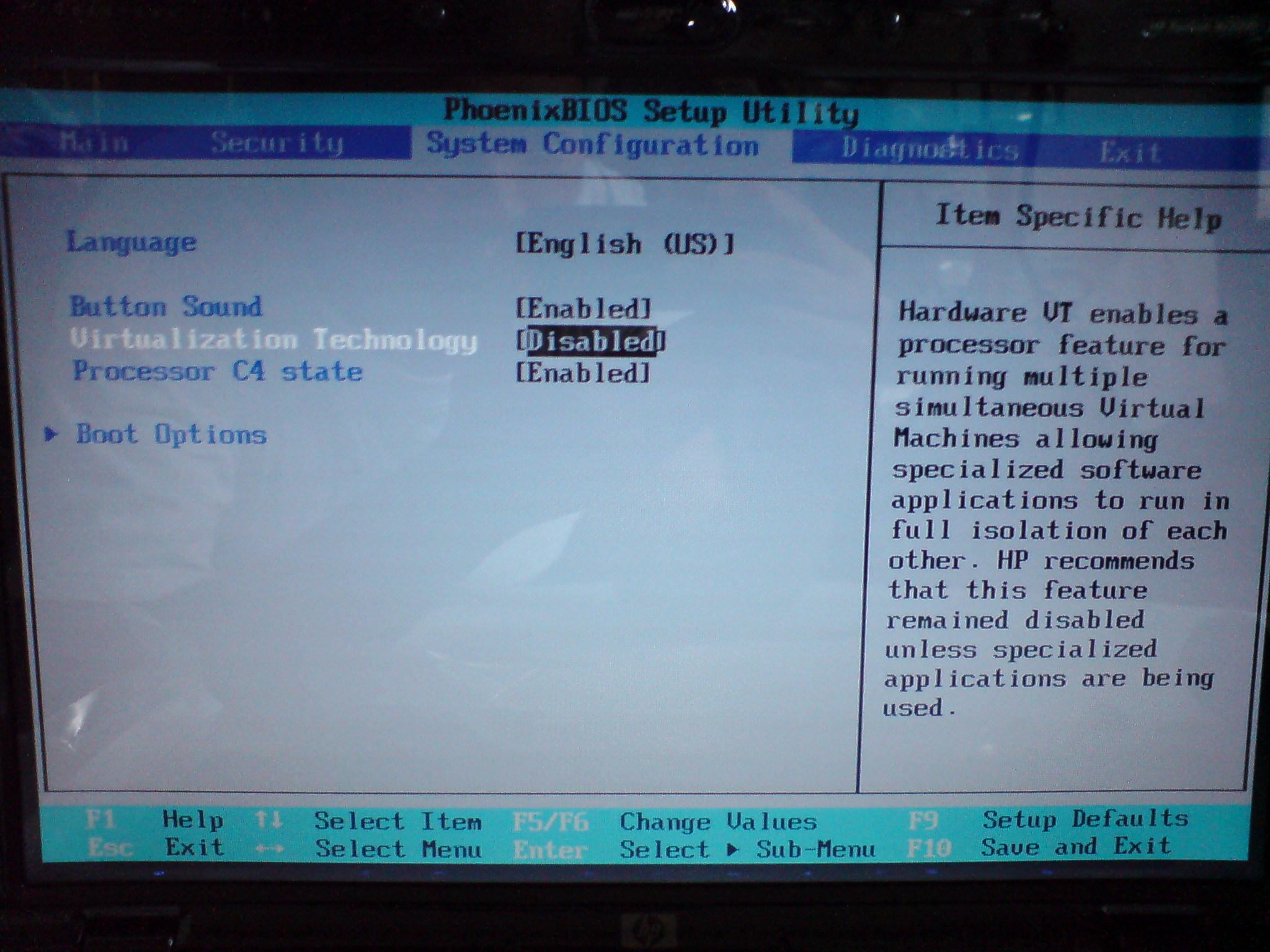 BIOS_VT.JPG