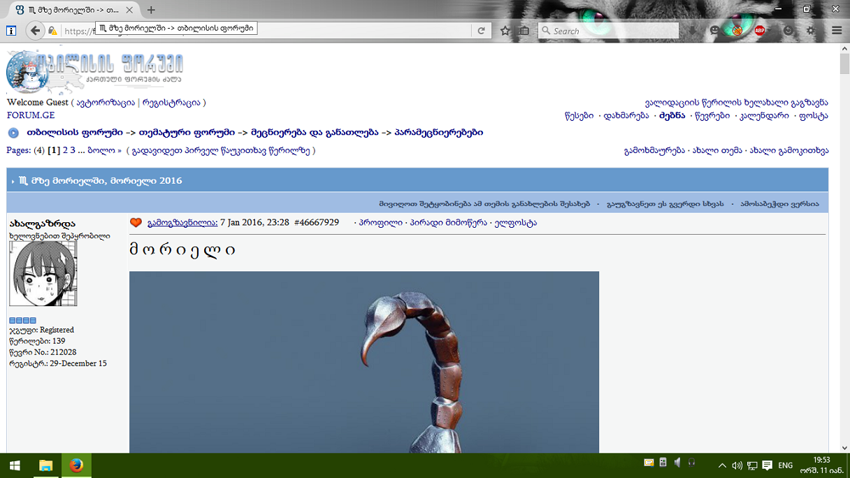 unt.png