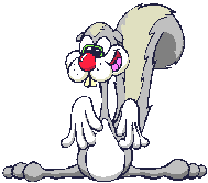 Grey_squirrel.gif