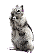 sq.gif