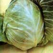 images_95_.jpg